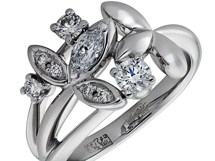 История, которую рассказывают цветы